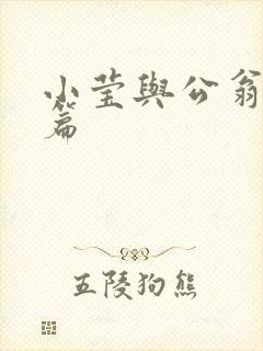 小莹与公翁第八篇封面