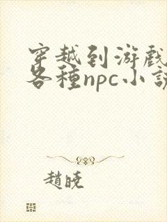 穿越到游戏里和各种npc小说