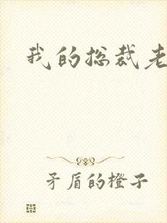 我的总裁老妈
