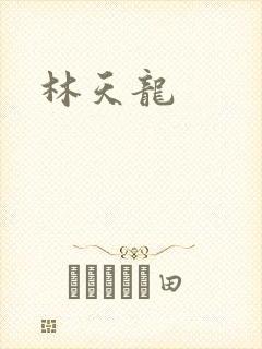 林天龙封面