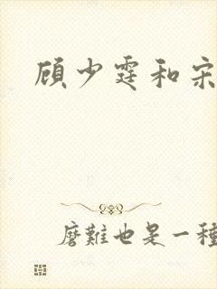 顾少霆和宋斯曼封面