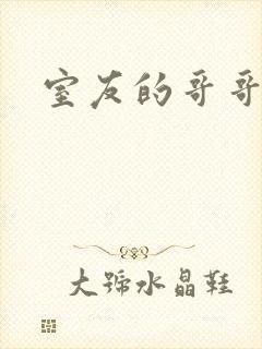 室友的哥哥封面