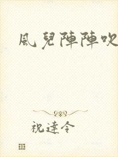 风儿阵阵吹封面