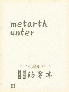 metarthunter封面