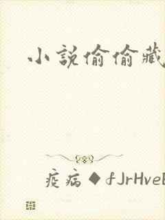 小说偷偷藏不住