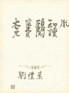 木宁顾知胤小说免费阅读