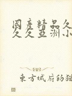 国产精品久久久久久亚洲小说