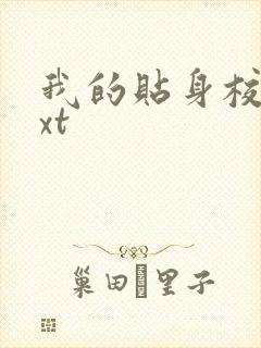 我的贴身校花txt