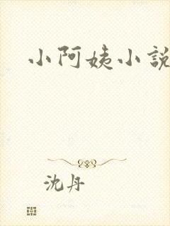 小阿姨小说封面