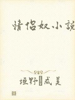 情侣奴小说
