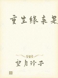 重生缘来是你封面