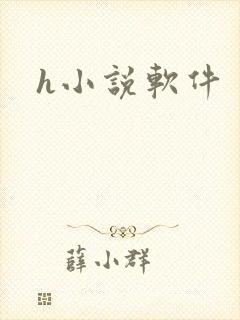 h小说软件