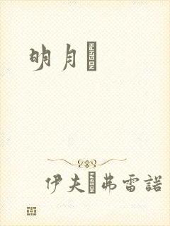明月珰