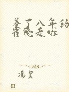 养了八年的金丝雀飞走啦