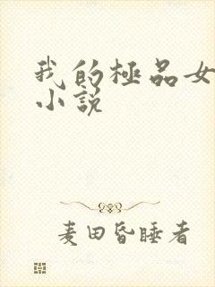 我的极品女老师小说