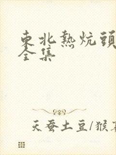 东北热炕头小说全集封面