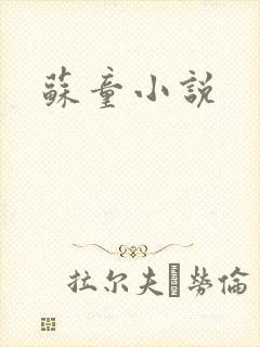 苏童小说