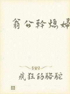 翁公干熄妇封面