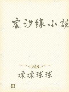 宸汐缘小说封面