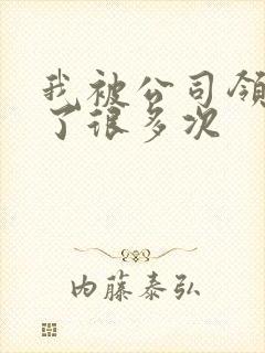 我被公司领导C了很多次