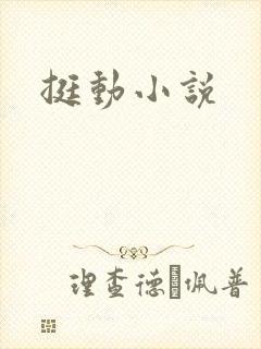 挺动小说