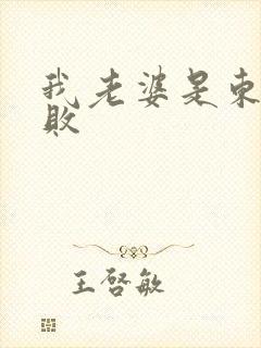 我老婆是东方不败