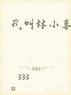 我叫林小喜17