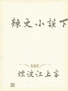 辣文小说下载