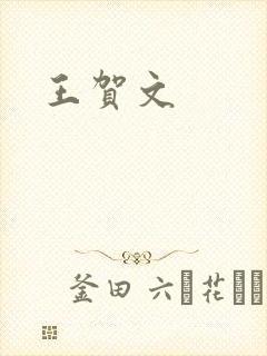 王贺文