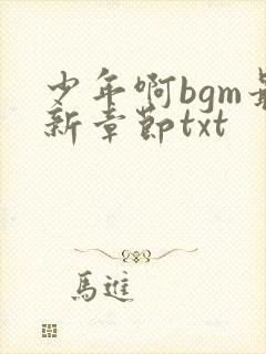 少年啊bgm最新章节txt