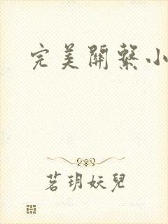 完美关系小说