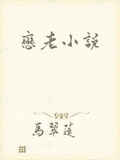 恋老小说