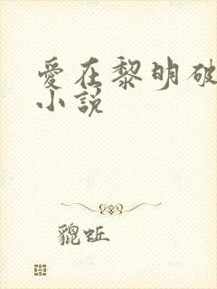 爱在黎明破晓前小说