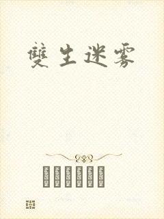 双生迷雾封面