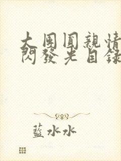 大团圆亲情会闪闪发光目录
