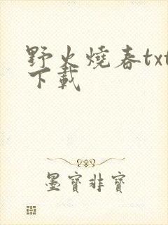 野火烧春txt下载封面