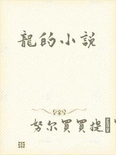 龙的小说