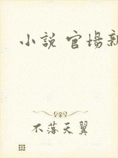 小说 官场新贵