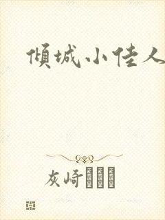 倾城小佳人封面