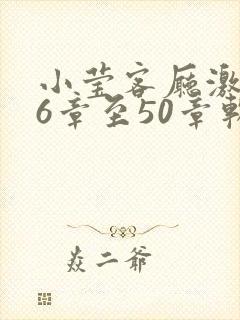 小莹客厅激情46章至50章软件介绍