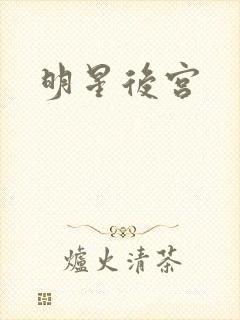 明星后宫