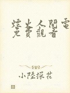 烟火人间电视剧免费观看