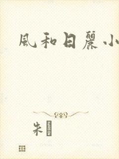 风和日丽小说
