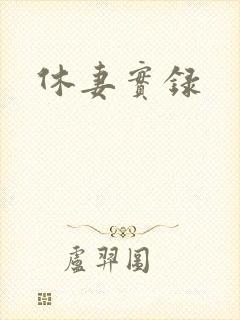 休妻实录封面