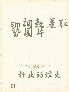sm调教羞耻姿势图片