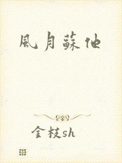 风月苏他封面
