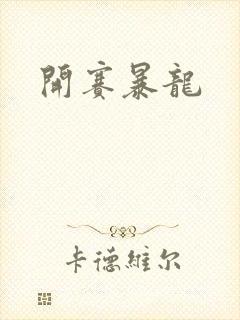 开赛暴龙