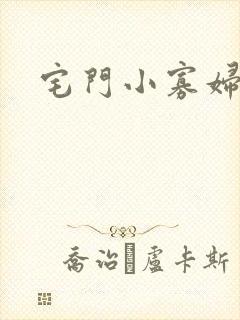 宅门小寡妇