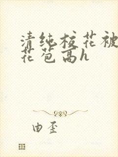 清纯校花被迫开花苞高h封面
