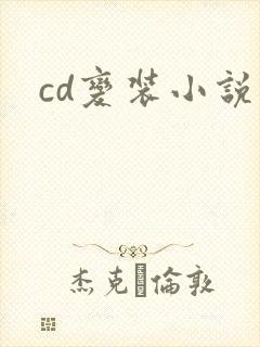 cd变装小说